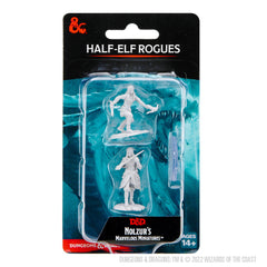 Elf Rogue Female 1