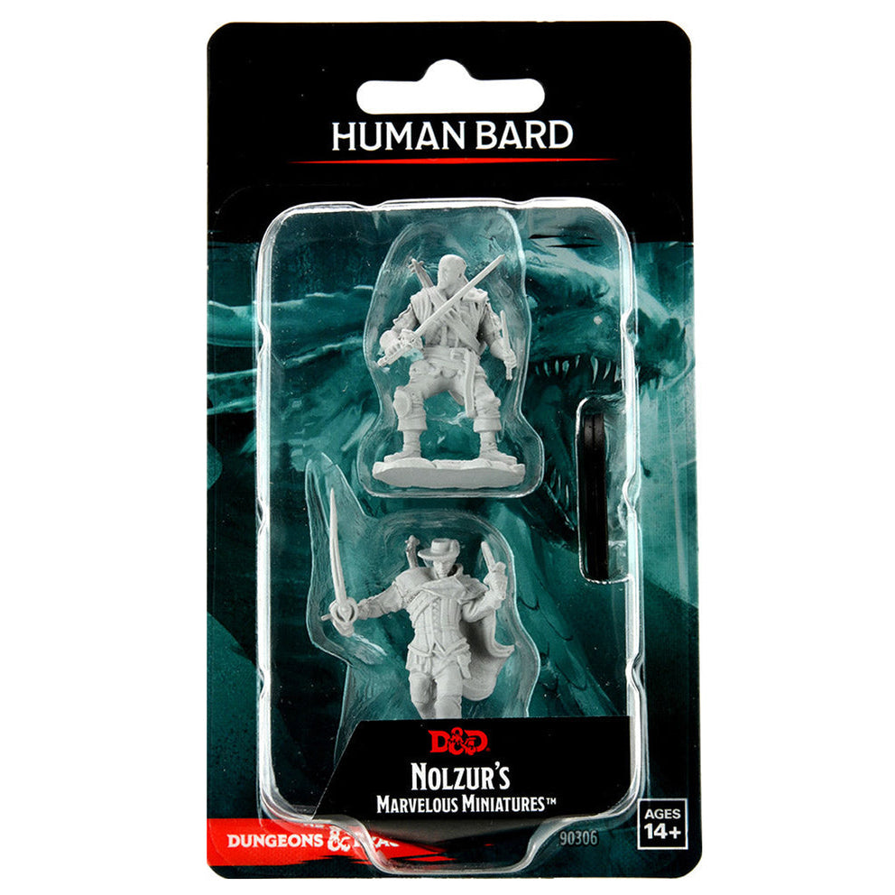 Human Bard Male