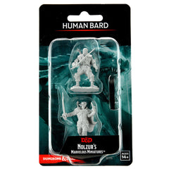 Human Bard Male