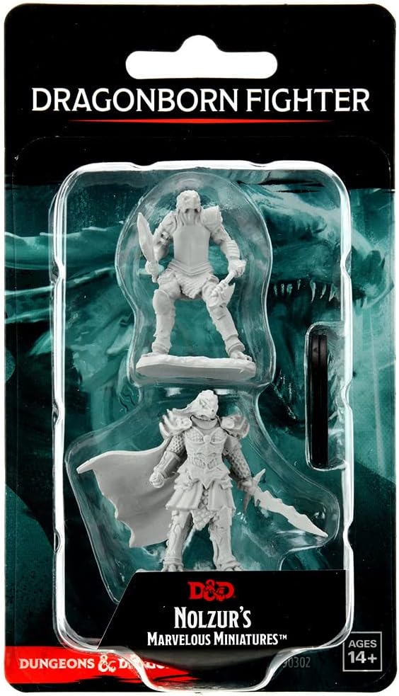 Dragonborn Fighter Male