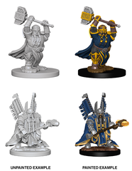 Dwarf Paladin Male