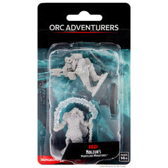 Orc Adventurers