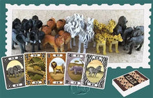 Load image into Gallery viewer, 非洲之旅 Wildlife Safari