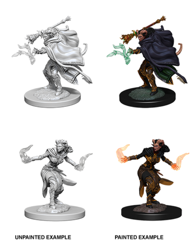 Tiefling Warlock Female