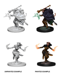 Tiefling Warlock Female