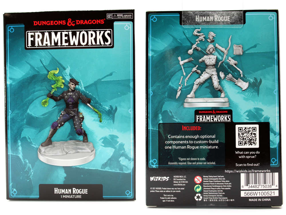 dungeons & dragons framework human Rogue Female