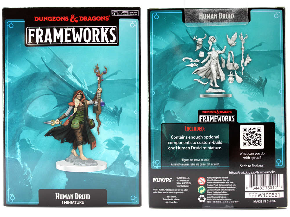 dungeons & dragons framework human Druid Female
